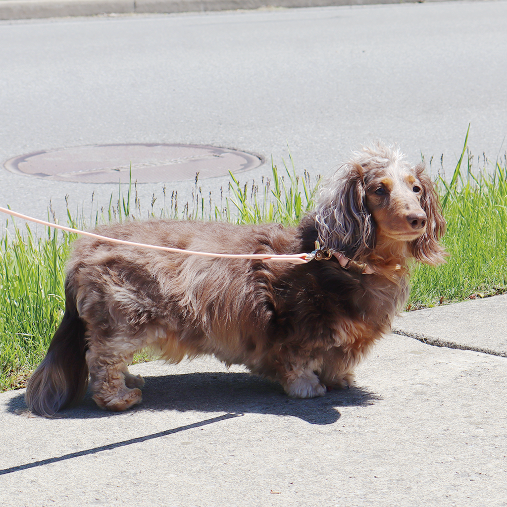 Waterproof Dog Collar | Pink