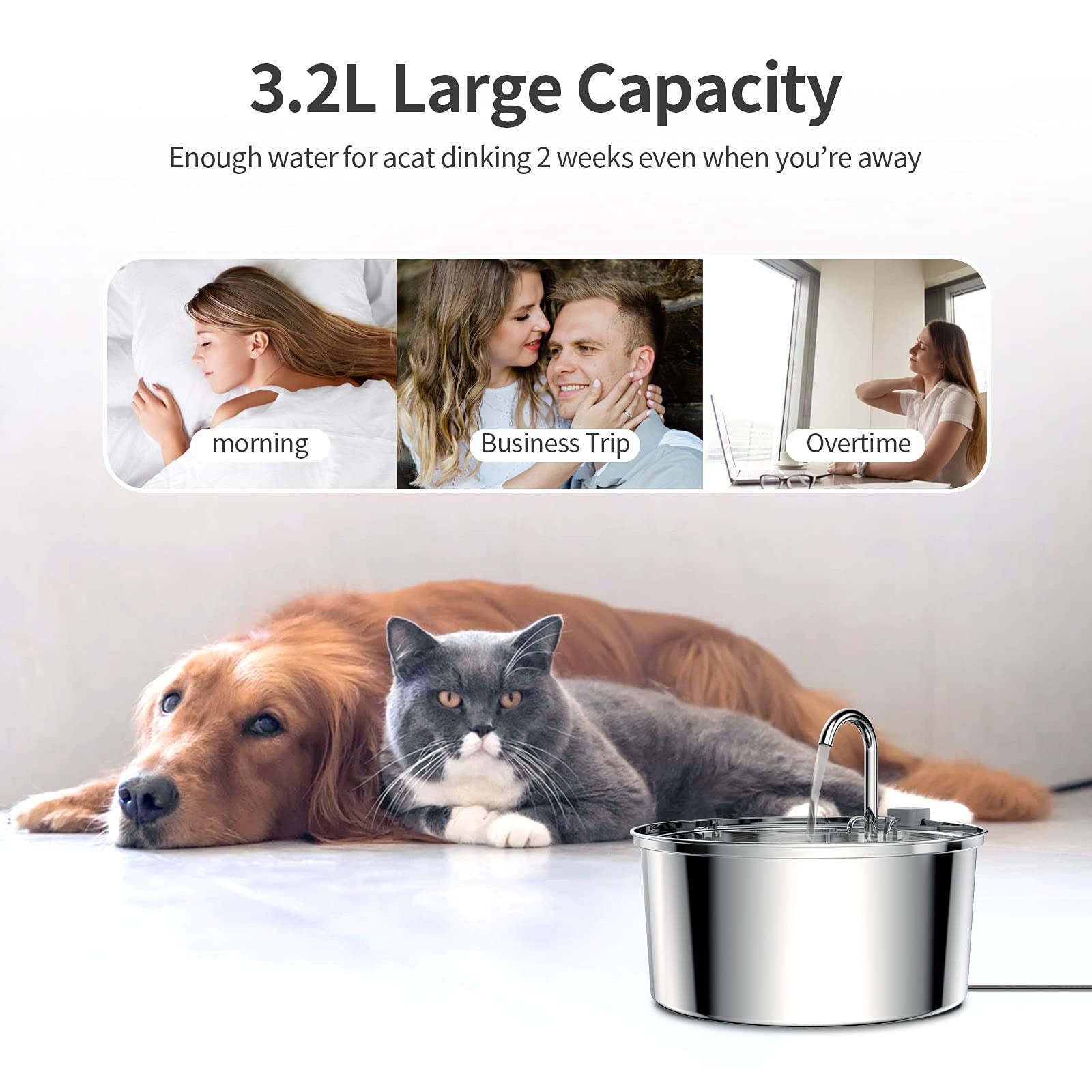 Pet Stainless Steel Automatic Water Fountain — 3.2L, Multiple Styles