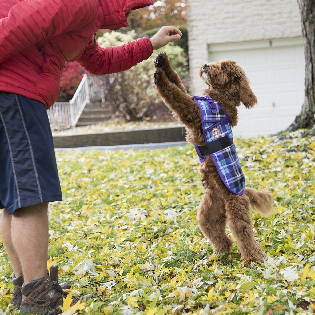 Derby Originals Ruff Pup Arctic Purple Plaid Dog Coat – 1200D Waterproof Ripstop, 150g Insulated Winter Jacket, Breathable 3-Layer Design, Adjustable Fit, 2-Year Warranty