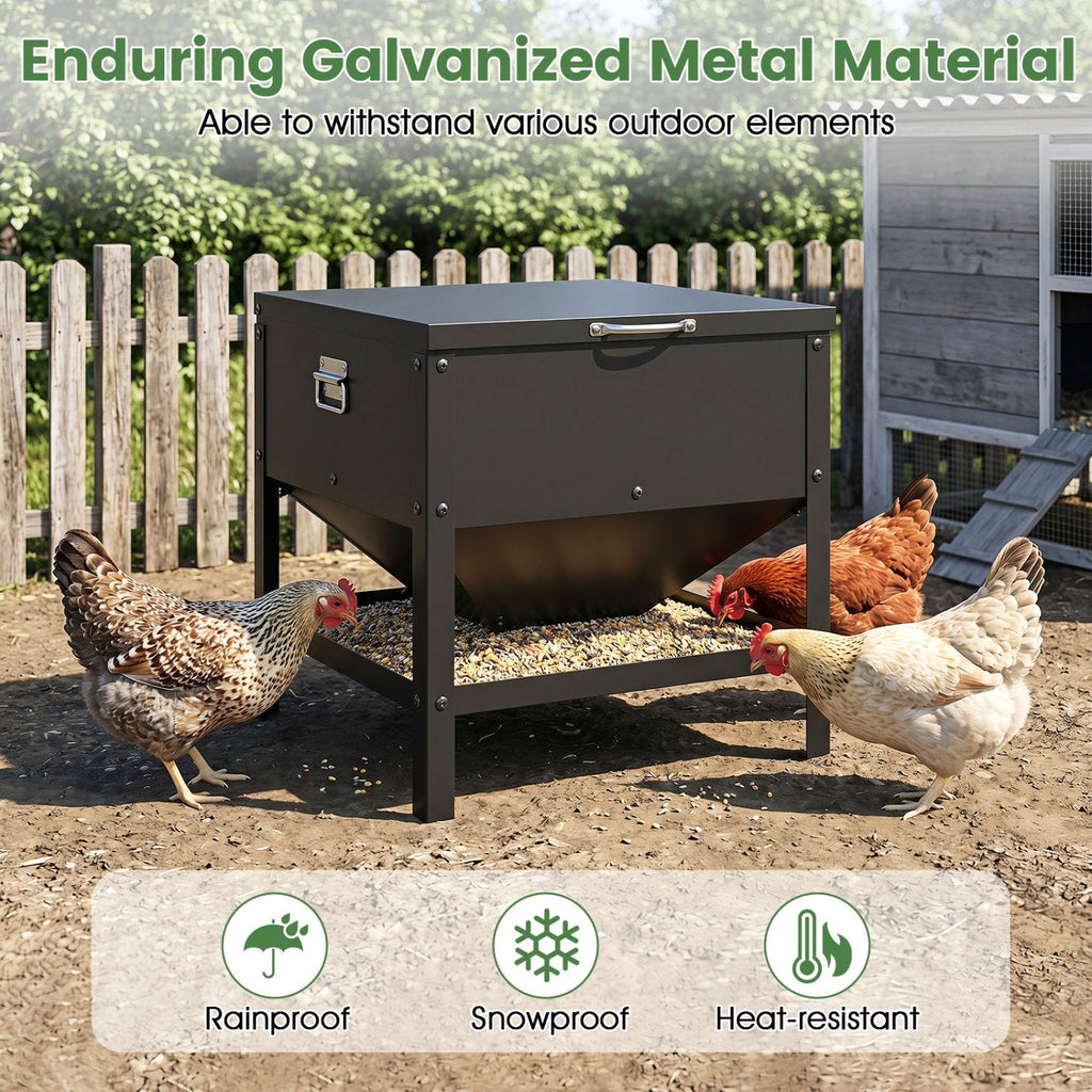 Large Capacity Chicken Feeder with Openable Lid