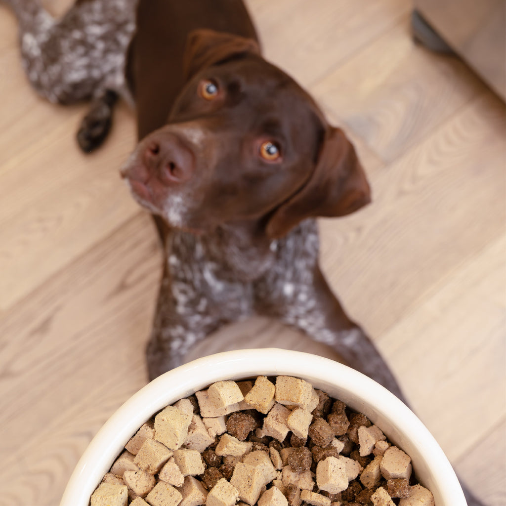 Trout & Beef Dog Food Topper
