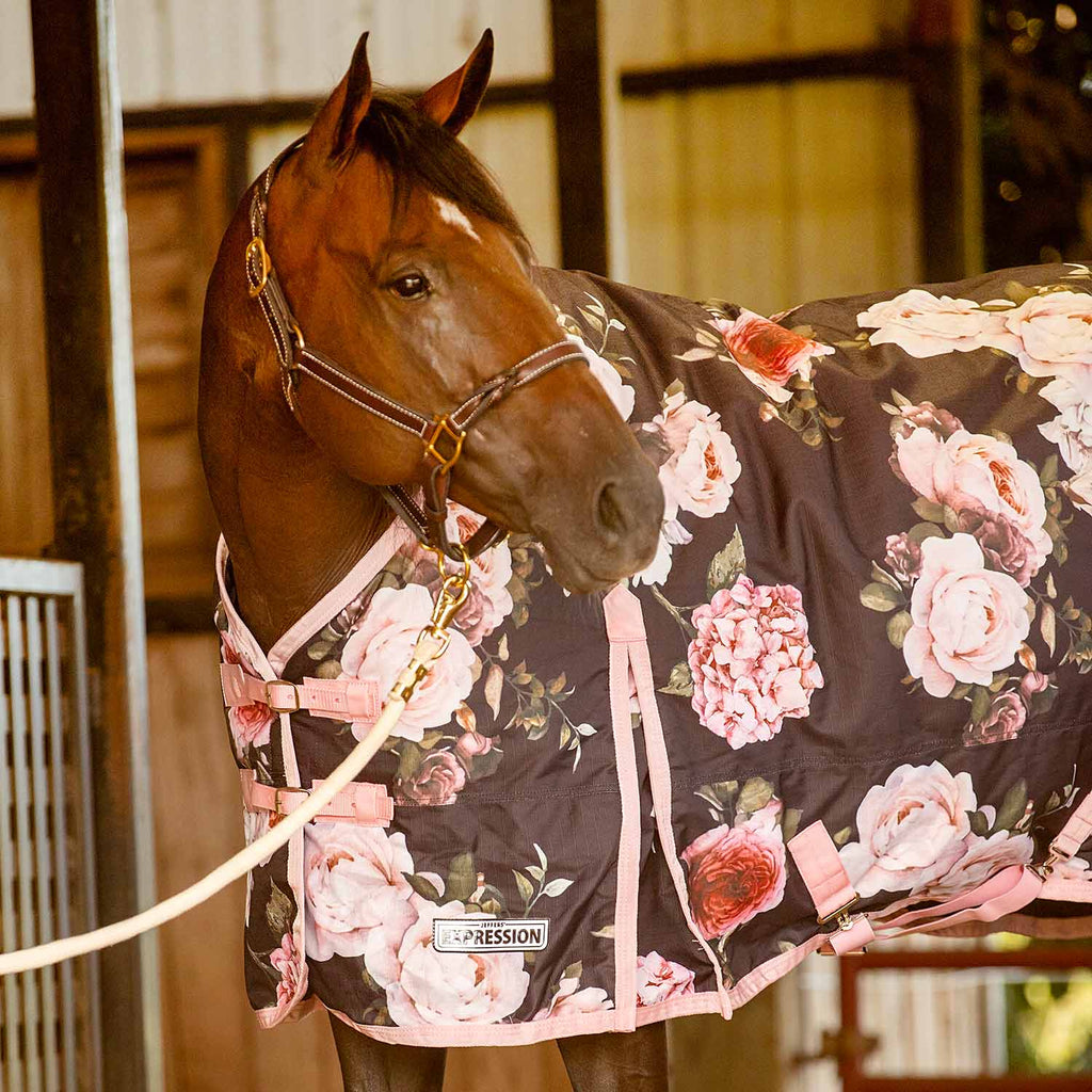 Jeffers Expression 1200 Denier Standard Neck Horse Turnout Sheet, 0 Gram