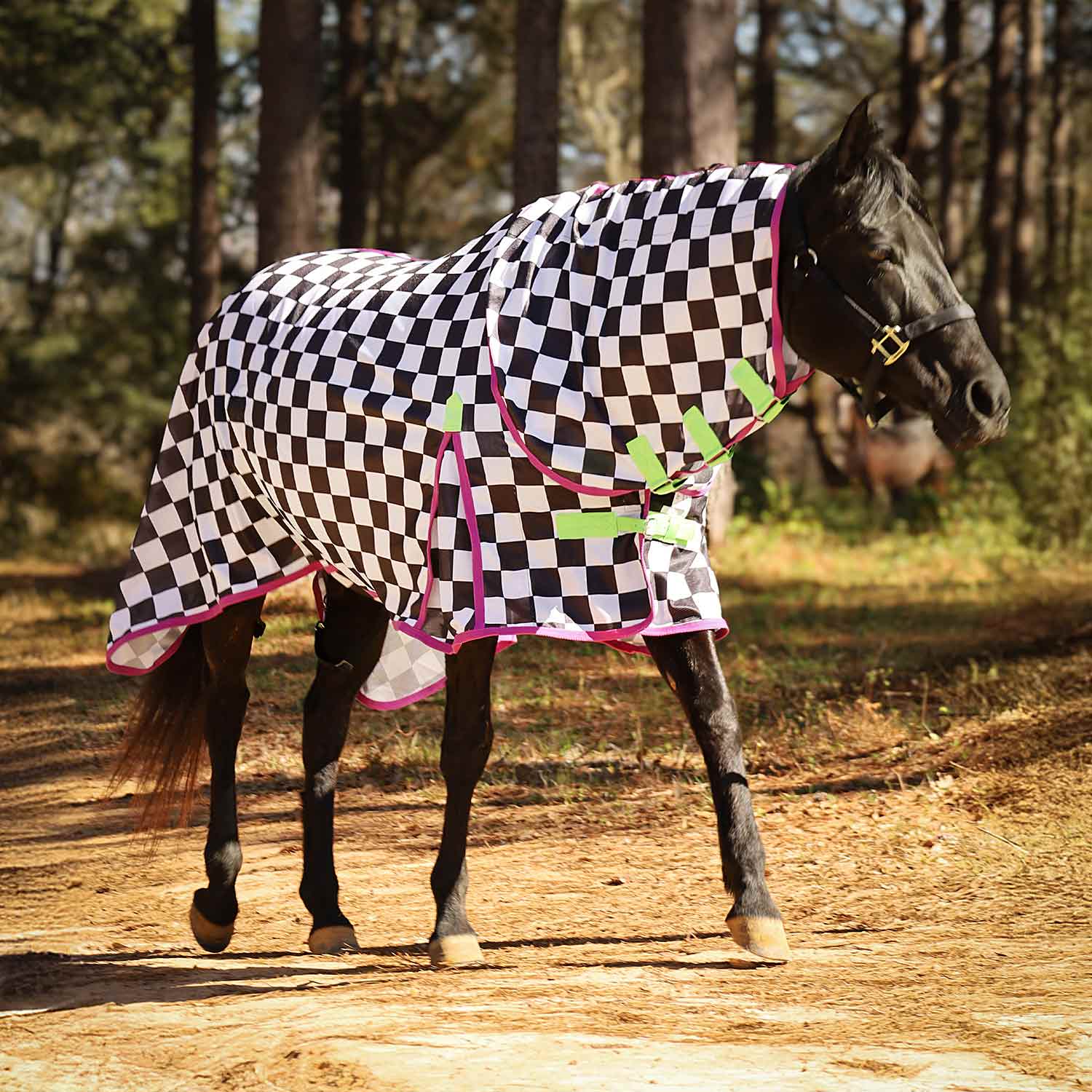 Jeffers Expression Softmesh Combo Neck Horse Fly Sheet
